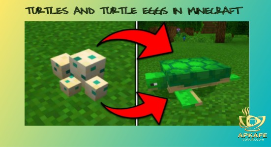 How to hatch Turtle eggs in Minecraft