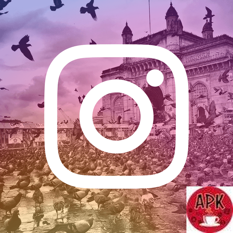 THE PERFECT SIZE OF EVERYTHING ON INSTAGRAM THE PERFECT SIZE OF EVERYTHING ON INSTAGRAM