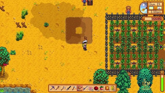 Watering upgrades are important- Notes when playing Stardew Valley as a farm tycoon