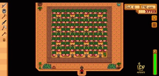 Choosing good seedlings to plant- Notes when playing Stardew Valley as a farm tycoon