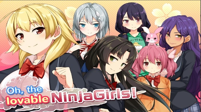 The plot- Moe! Ninja Girls/Sexy School