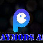 Playmods