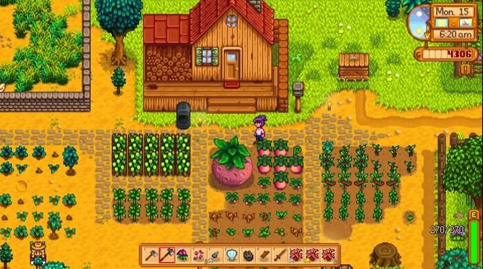 Plan to plant according to the season- How to play Stardew Valley - The ultimate beginner's guide