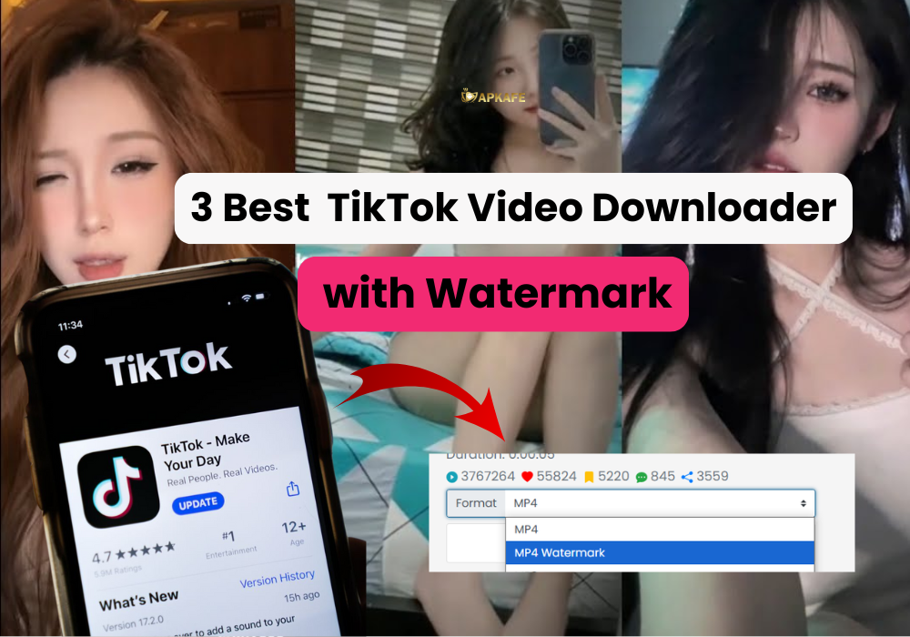 Best 3 TikTok Video Downloaders with Watermark