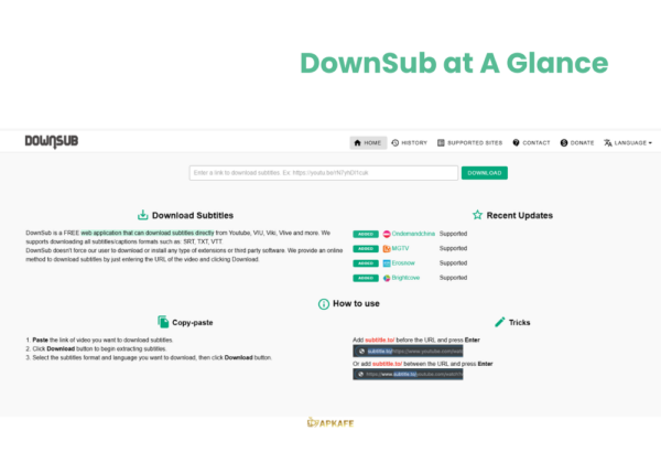 How DownSub Makes Subtitle Downloading Quick and Easy