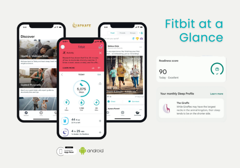 Is Fitbit The Best Free Calorie Counter App? Find Out Here!