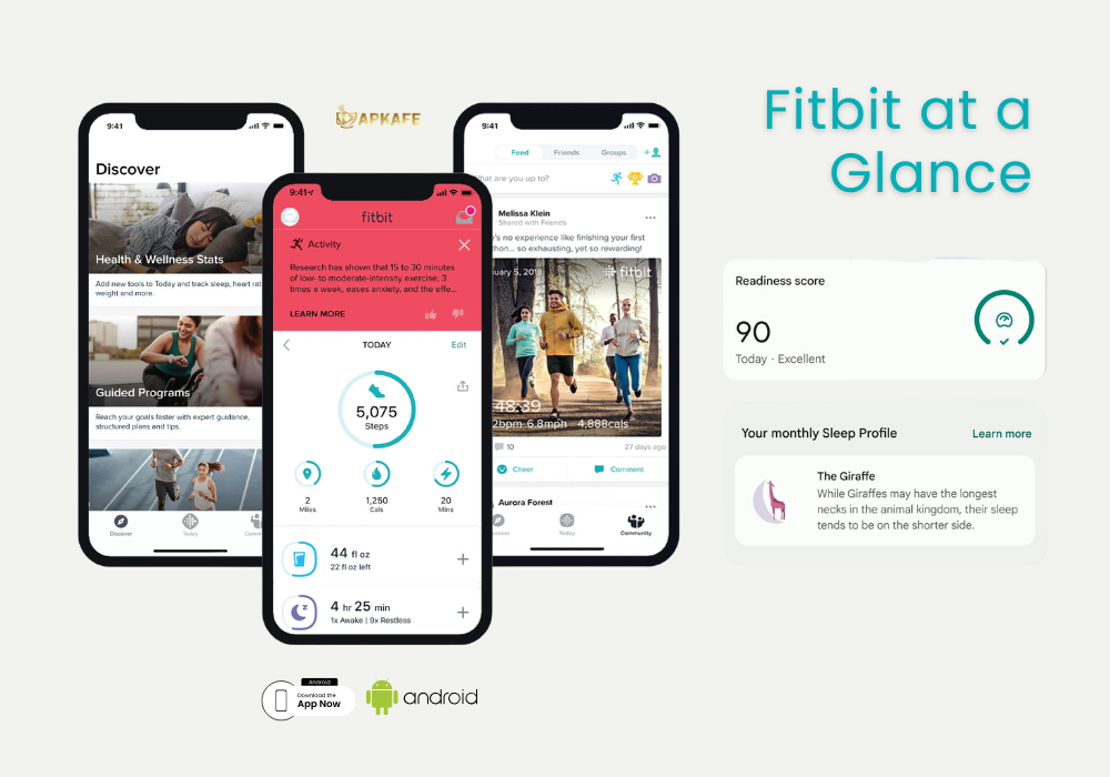 Fitbit at a Glance