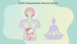 Why Yoga Helps Reduce Anxiety and Stress