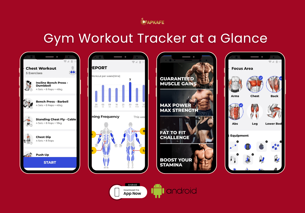 Gym Workout Tracker at a Glance