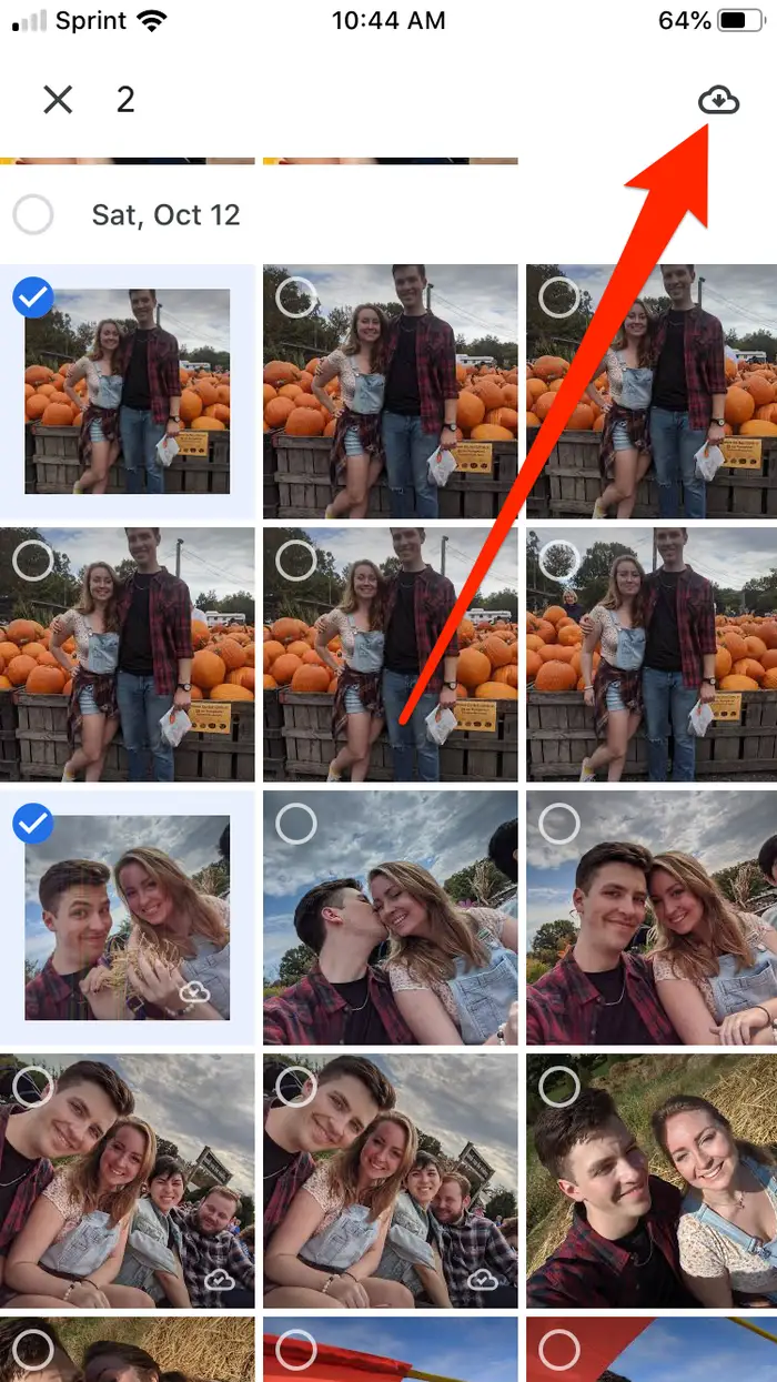 How to download all Google photos to your iPhone- HOW TO DOWNLOAD PICTURES FROM GOOGLE PHOTOS