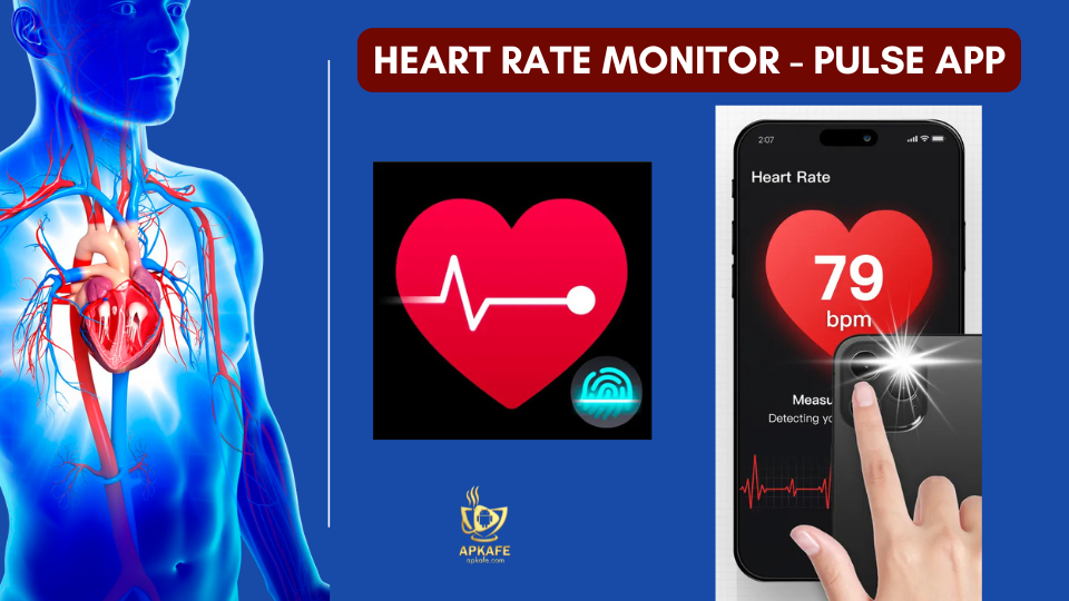 heart-rate-monitor-pulse-app-1
