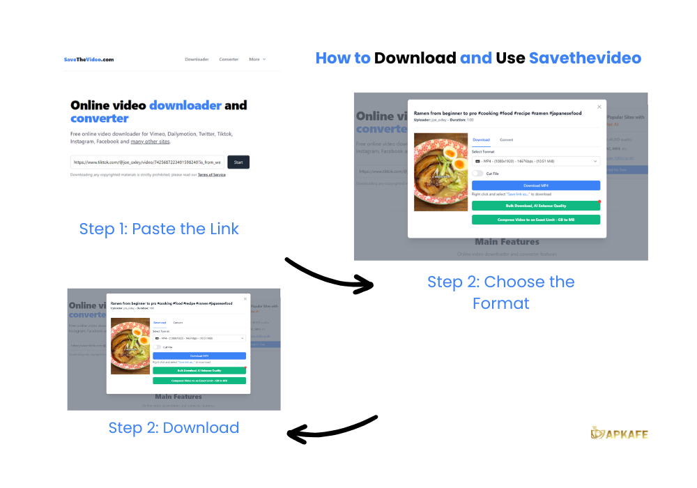 How to Download and Use Savethevideo