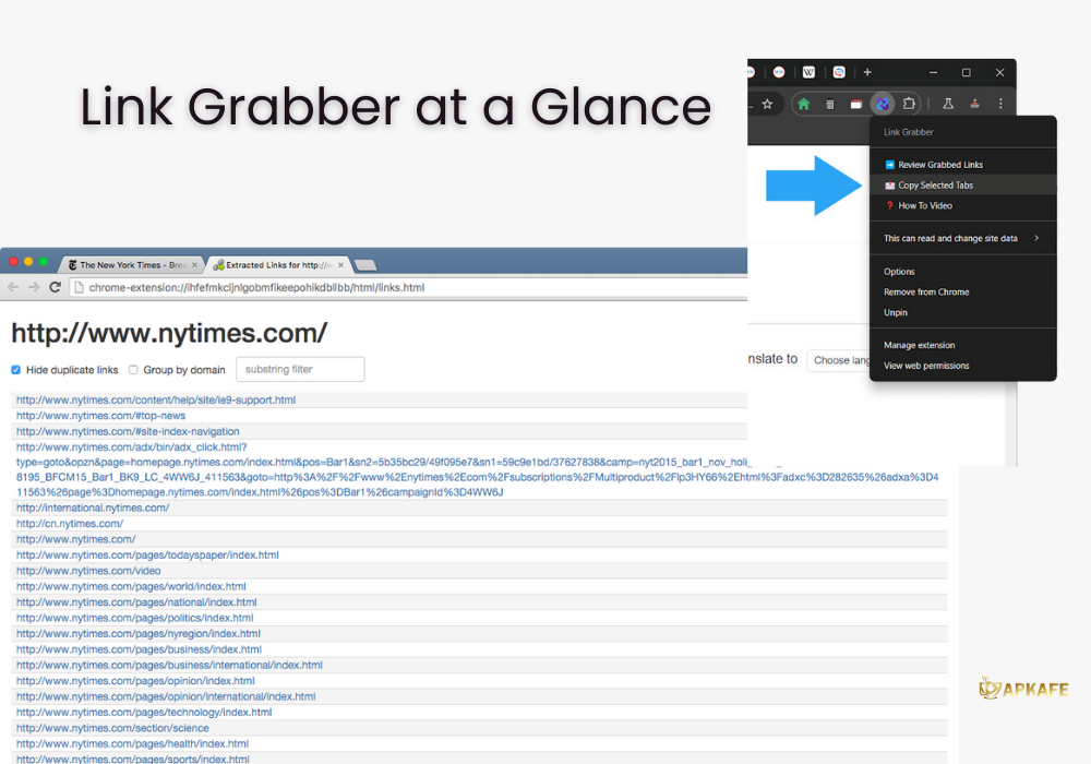 Link Grabber at a Glance