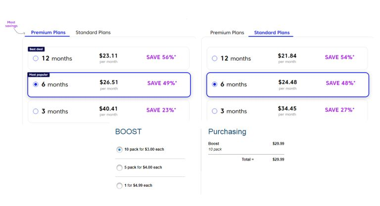 Match.com Premium Package Prices