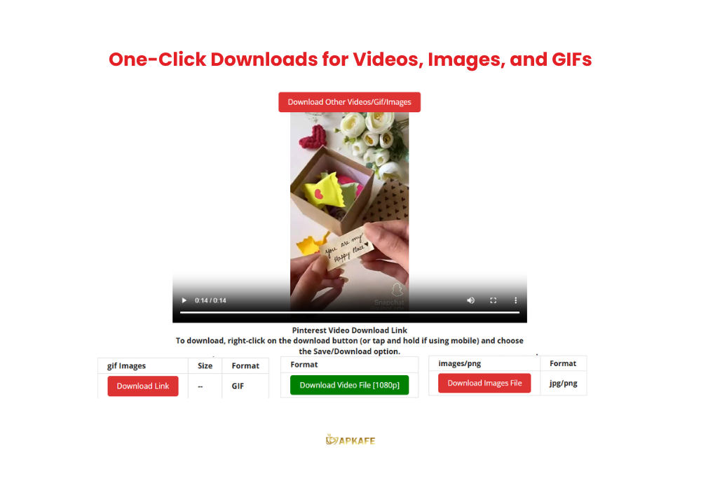 Pinterest Video Downloader (2)