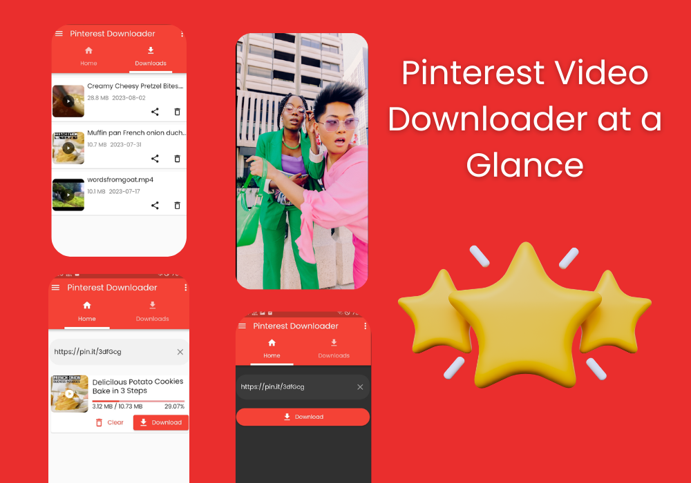 Pinterest Video Downloader at a Glance