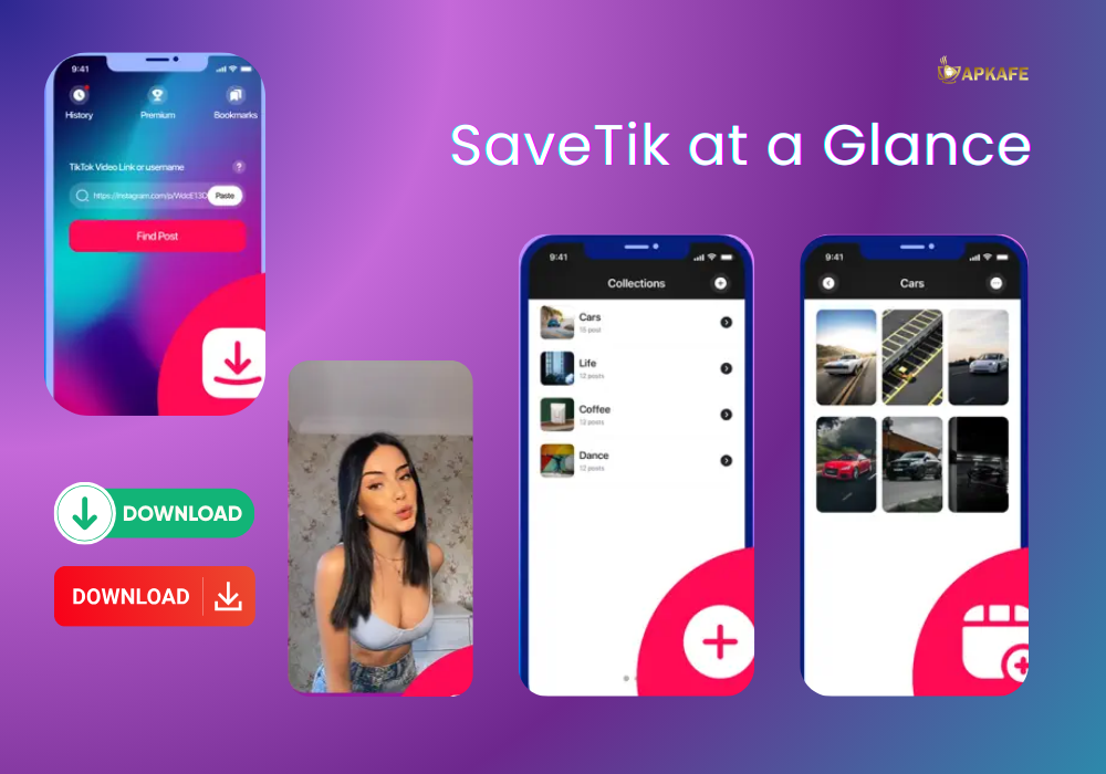 SaveTik at a Glance