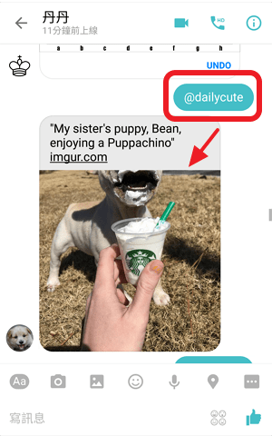 Send cute animal gifs-8 TIPS FOR FACEBOOK MESSENGER