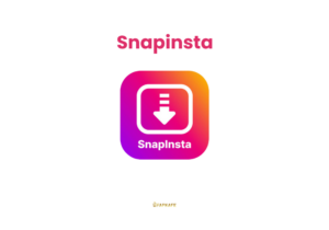 Snapinsta: Best Tool to Download Instagram Videos and Photos