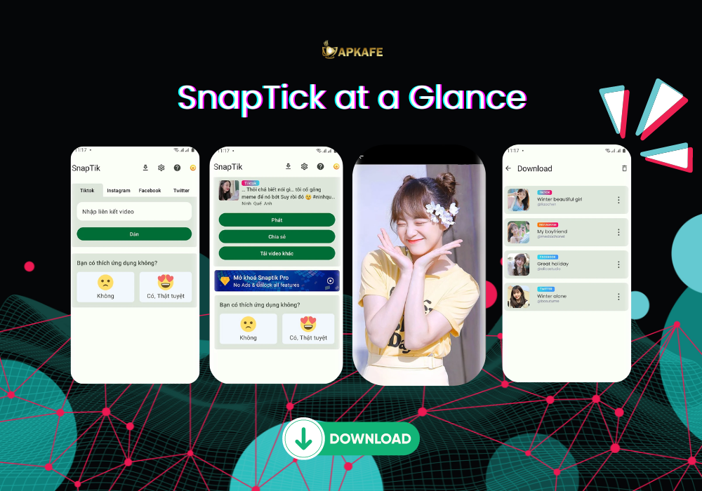 Snaptik at a glance