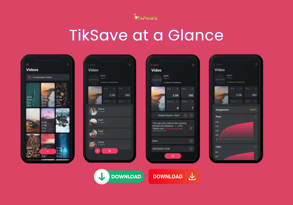 TikSave at a Glance