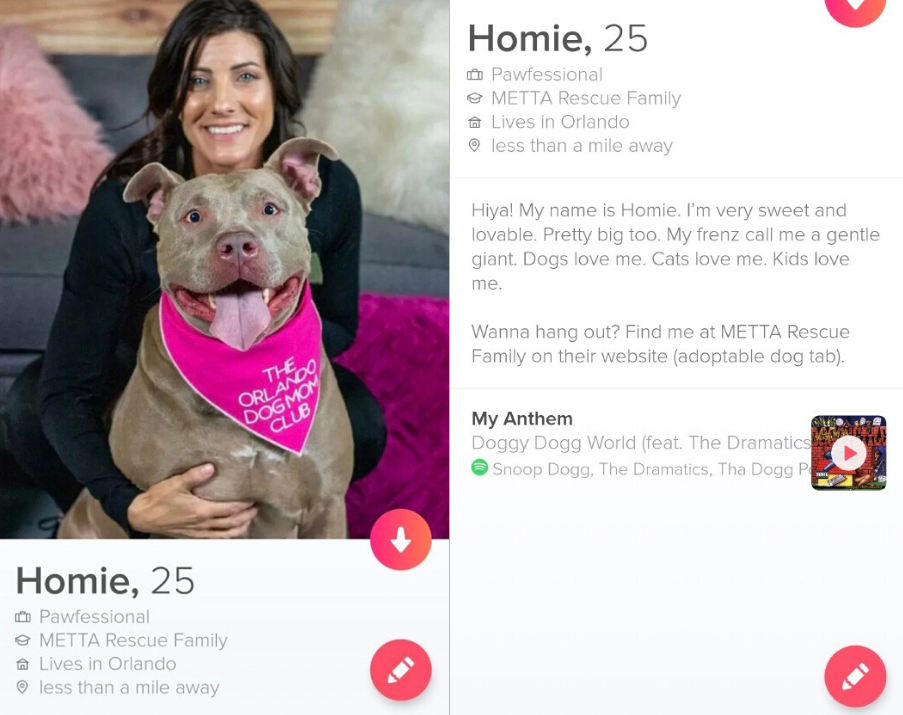 Tinder Profile Template For Animal Lovers