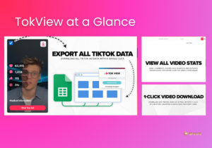 TokView at a Glance