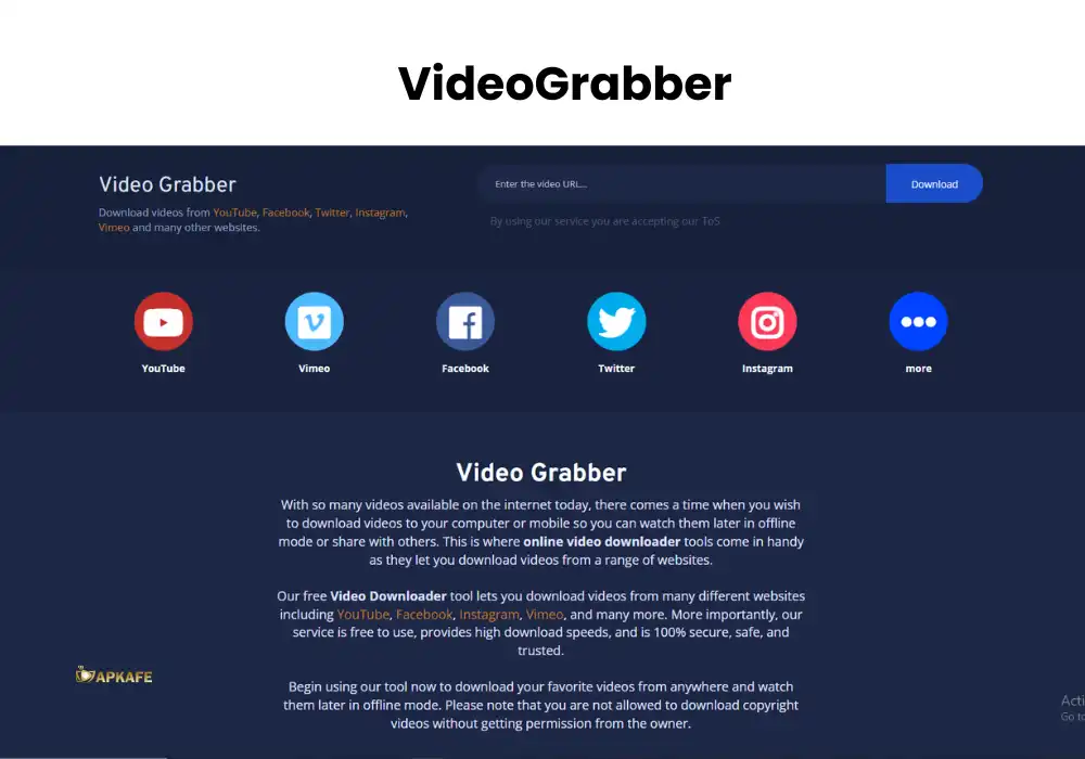 VideoGrabber