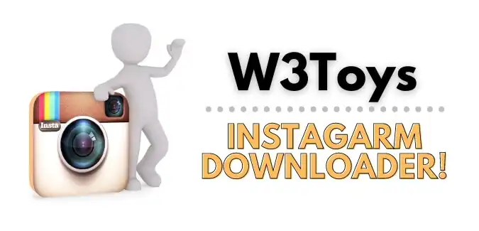 W3Toys Video Downloader_tool