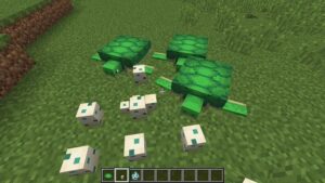 How to hatch Turtle eggs in Minecraft - apkafe