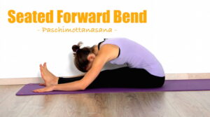 Seated Forward Fold (Paschimottanasana)