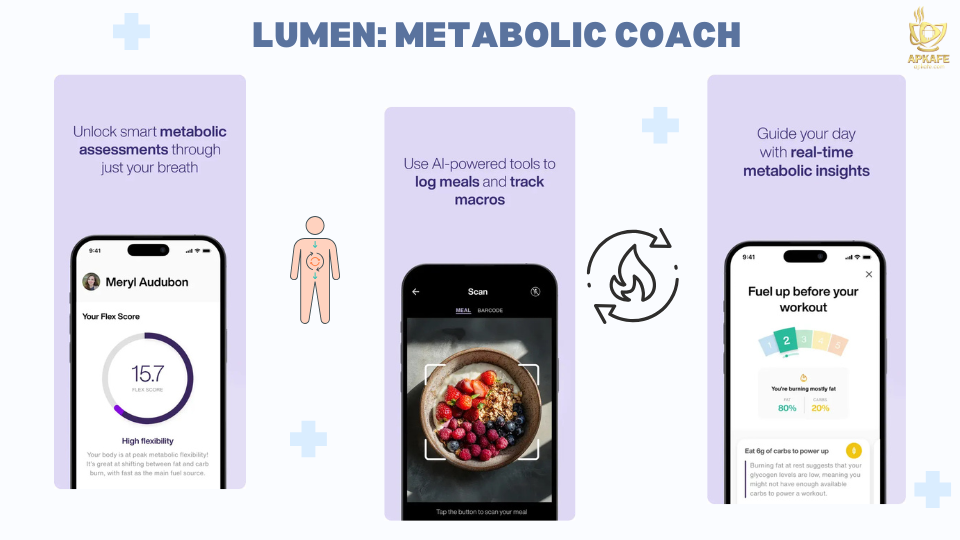 lumen-app-metabolic-coach-2