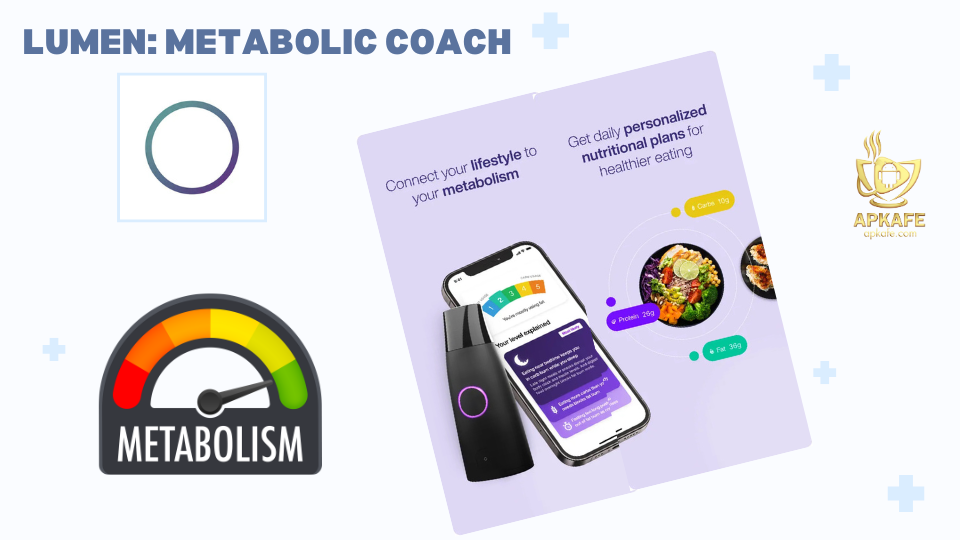 lumen-app-metabolic-coach-1