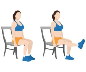 Seated Leg Extensions