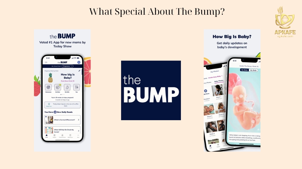 the-bump-pregnancy-and-baby-app-1
